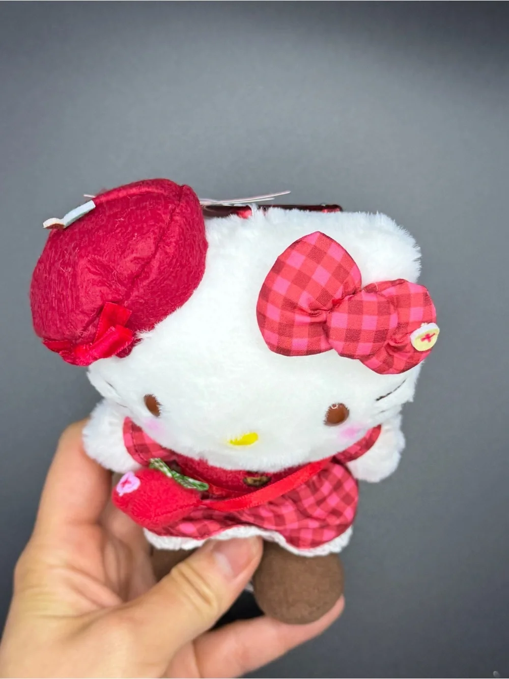 Sanrio the Autumn Apple Series Hello Kitty plush/keychain Mk188